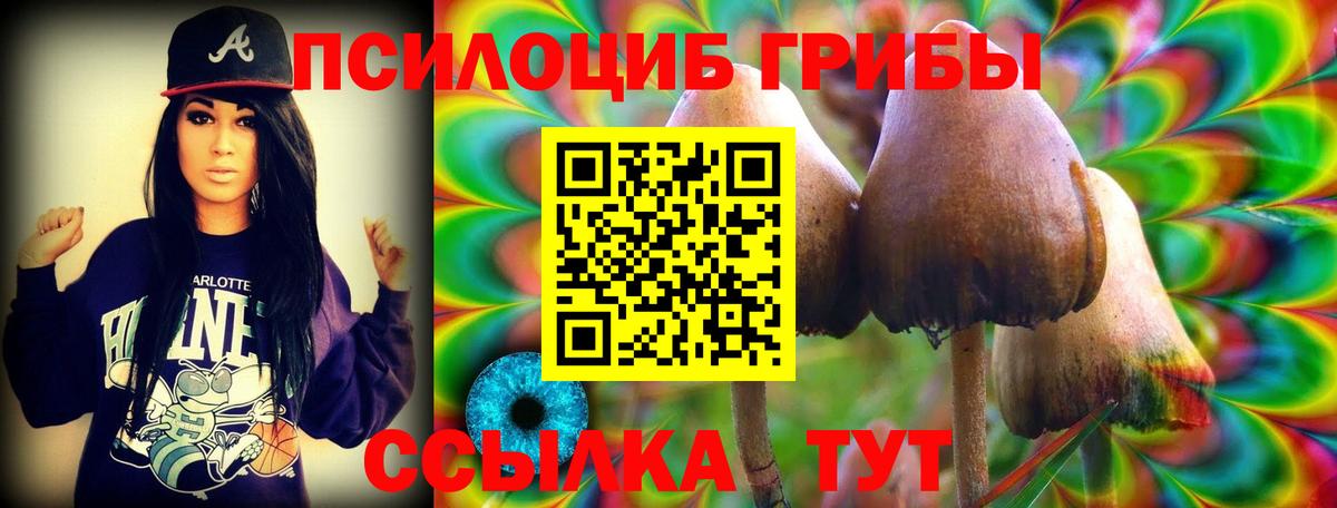 Галлюциногенные грибы Psilocybe Псков