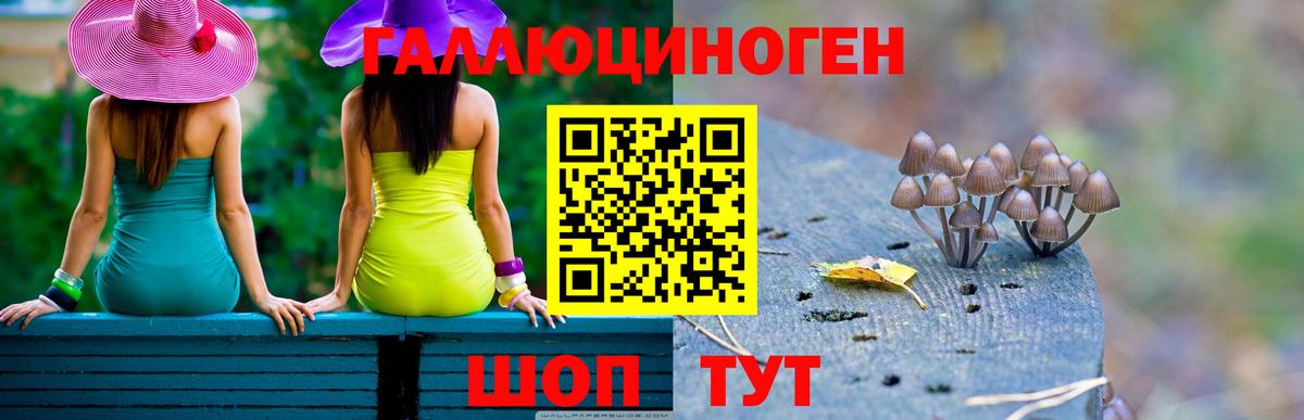 Галлюциногенные грибы ЛСД  Галлюциногенные грибы GOLDEN TEACHER  Вход с VPN  Псков 
